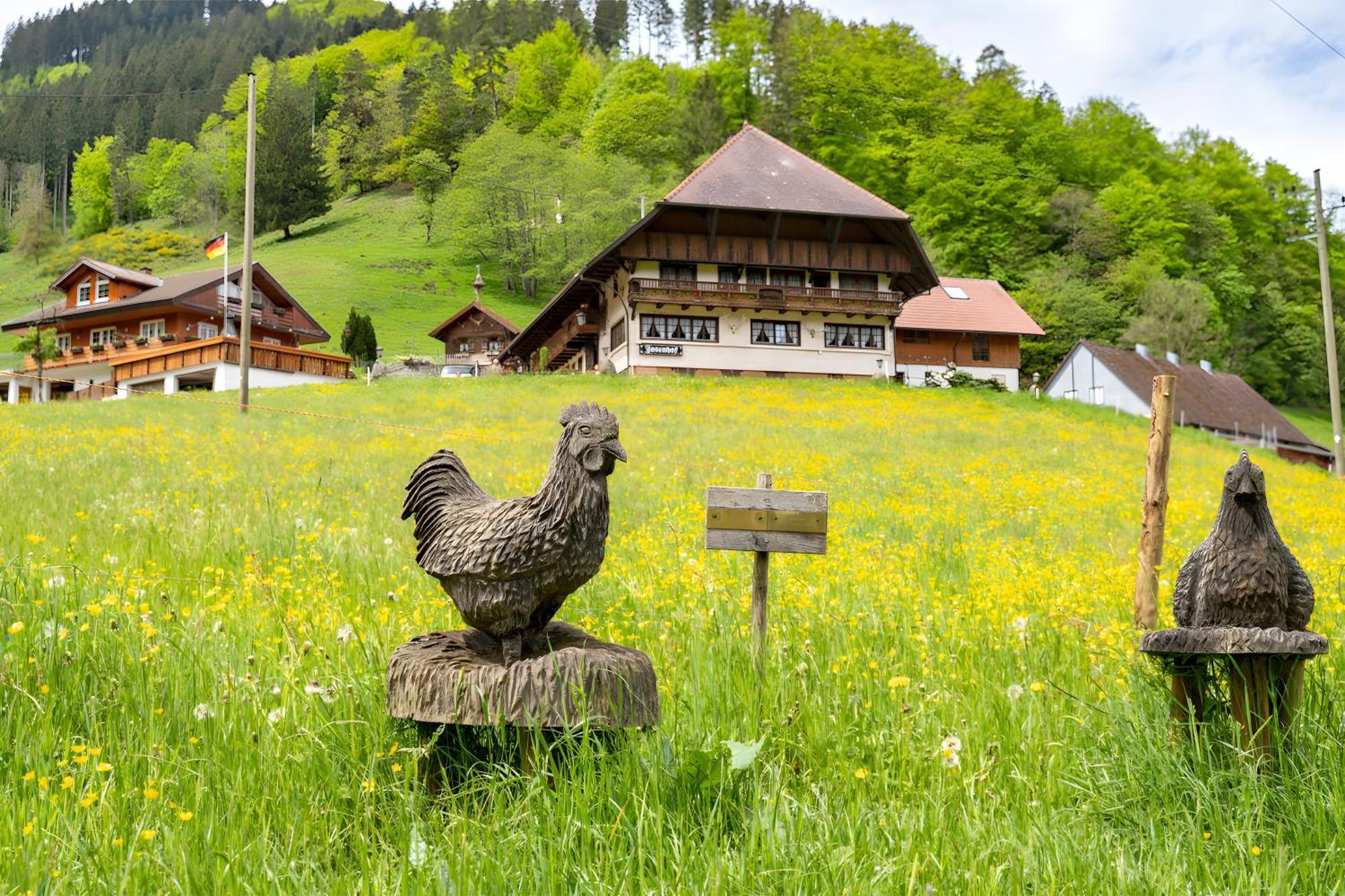 Josenhof Hotel Wolfach Eksteriør billede