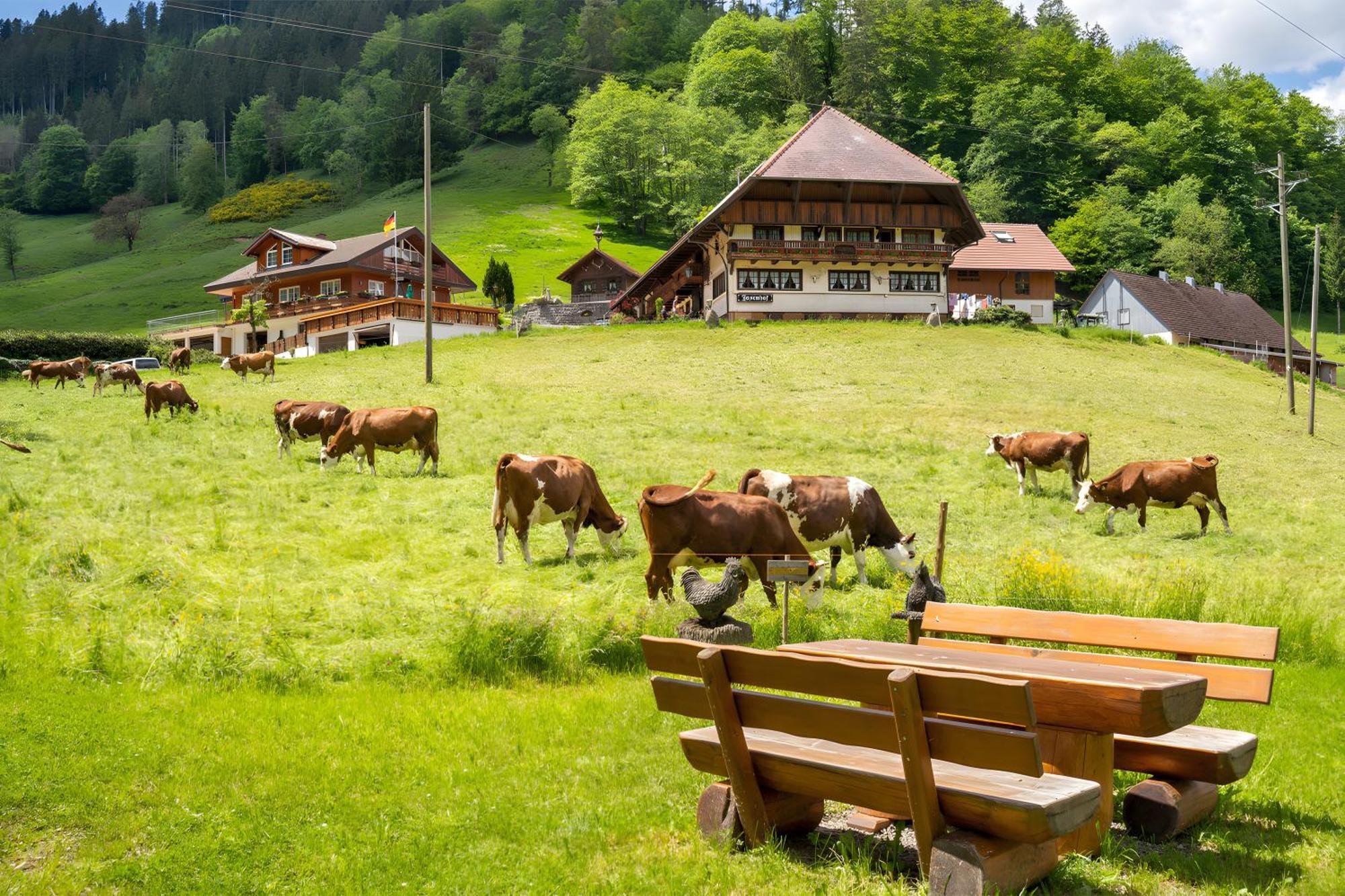 Josenhof Hotel Wolfach Eksteriør billede